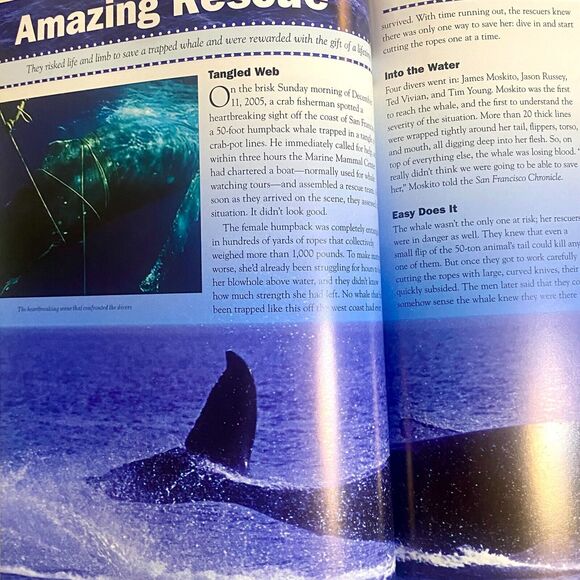 Uncle Johns Weird Weird World Who What Where When and Wow Bathroom Reader - Picture 7 of 10